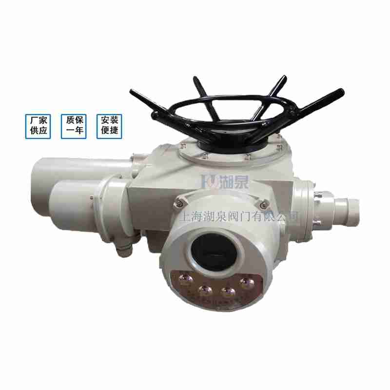 閥門電動裝置（dzw05,10,20，30,45,60，90,12