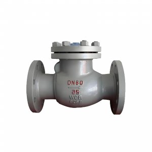 DN50 PN25 介質(zhì)：甲胺，溫度：80℃止回閥