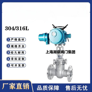 Z941W-16P，DN250，CF8/F304不銹鋼電動閘閥