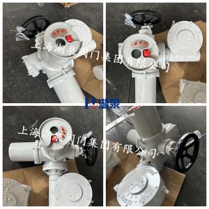 6000Nm電動執(zhí)行器帶蝸輪減速機(jī)QDX3-7