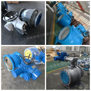 PQ940X-25C，DN800,PN25上裝立軸全通徑偏心半